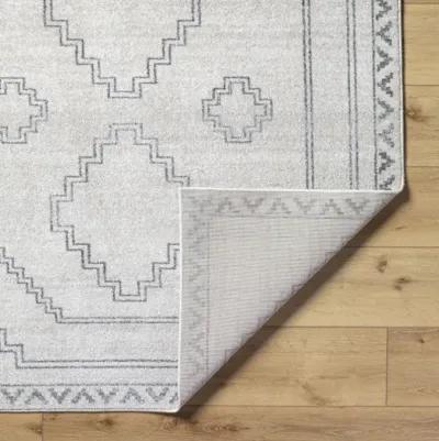 Alpharetta APH-2306 5'3" x 7' Machine Woven Rug