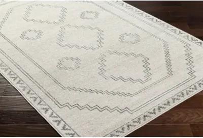 Alpharetta APH-2306 5'3" x 7' Machine Woven Rug