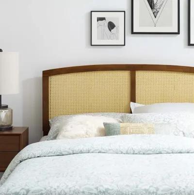 Halcyon Cane Queen Headboard