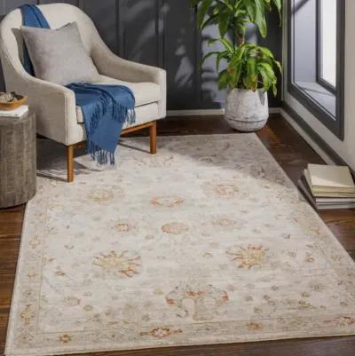 Avant Garde AVT-2323 2'7" x 10' Rug