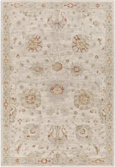 Avant Garde AVT-2323 2'7" x 10' Rug