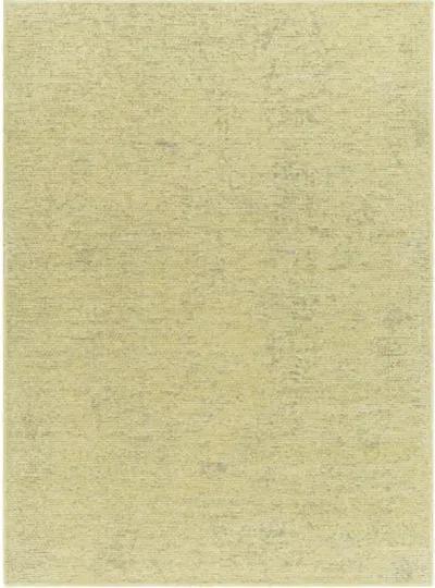 Quebec QBC-2306 2'7" x 7'3" Machine Woven Rug