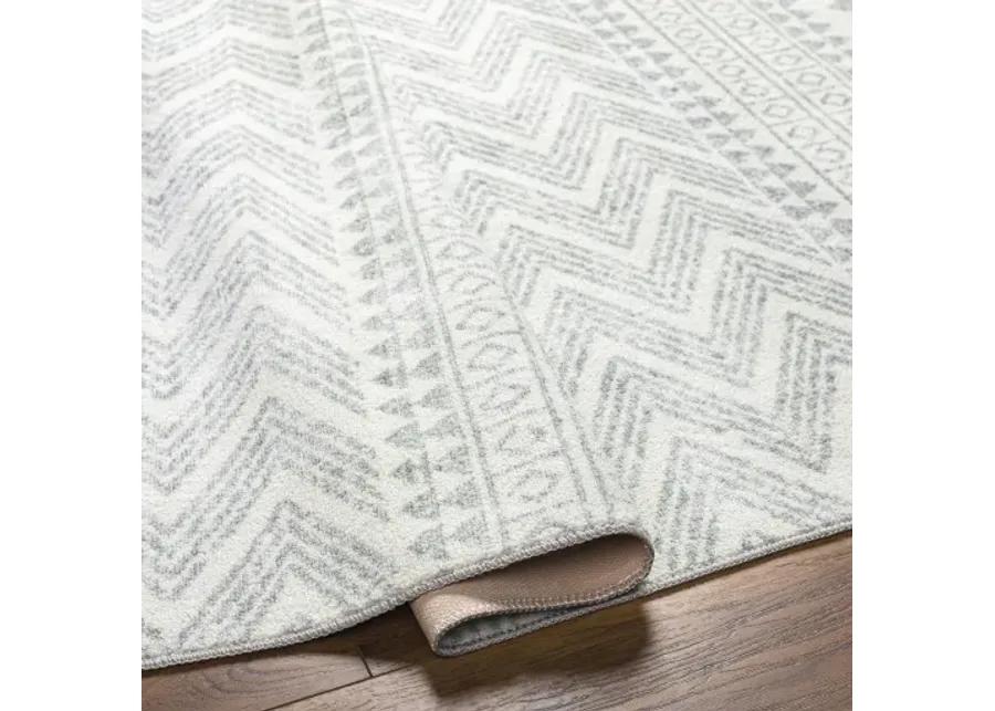 Hera HRH-2300 6'7" x 9' Machine Woven Rug