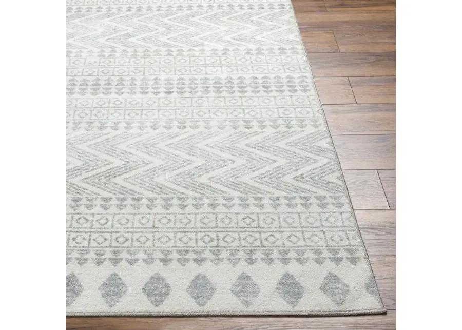 Hera HRH-2300 6'7" x 9' Machine Woven Rug