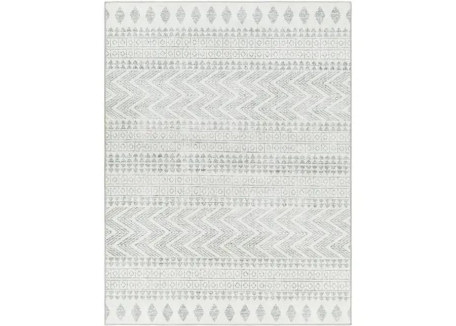 Hera HRH-2300 6'7" x 9' Machine Woven Rug