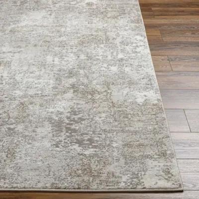 Allegro Plus AGP-2302 5'3" x 7'3" Machine Woven Rug