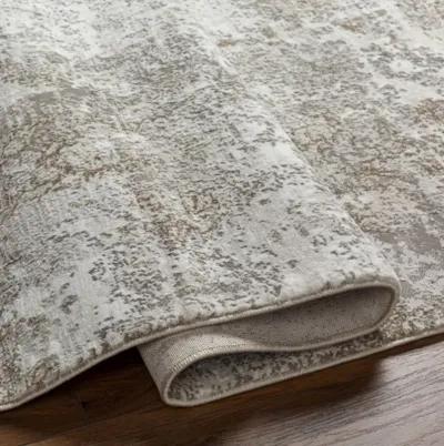 Allegro Plus AGP-2302 5'3" x 7'3" Machine Woven Rug