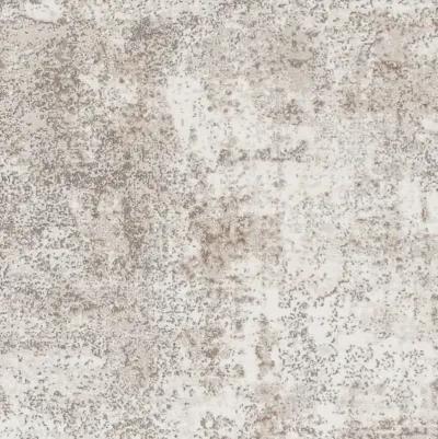 Allegro Plus AGP-2302 5'3" x 7'3" Machine Woven Rug