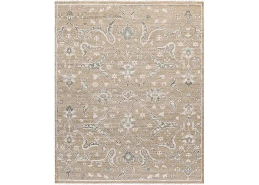 Almeria ALM-2304 8' x 10' Handmade Rug