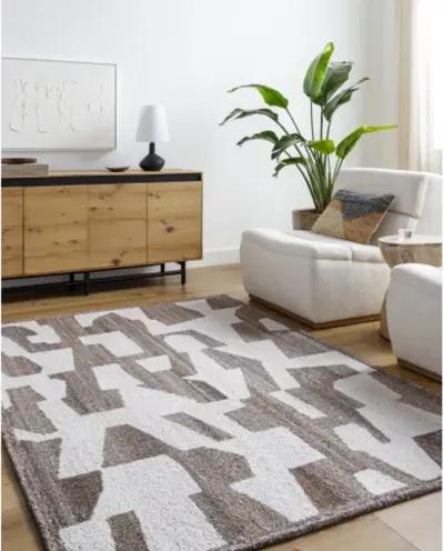 Andes AED-2301 9' x 12' Handmade Rug