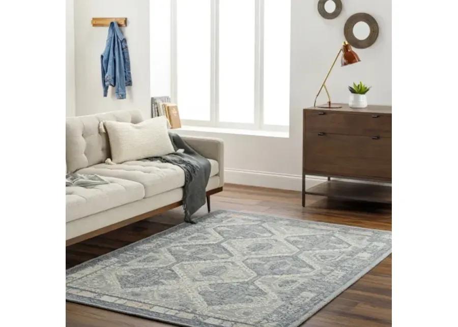 Addyson AYO-2301 9' x 12' Hand Made Rug