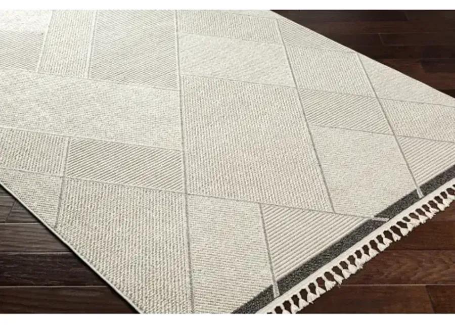 Finland FND-2303 6'7" x 9' Machine Woven Rug