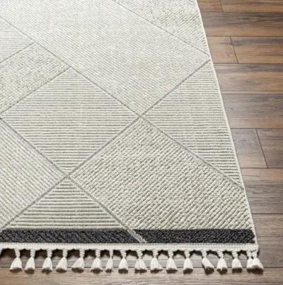 Finland FND-2303 6'7" x 9' Machine Woven Rug