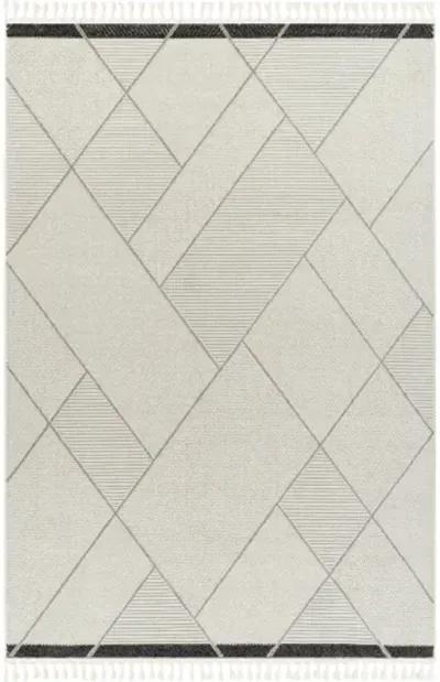 Finland FND-2303 6'7" x 9' Machine Woven Rug