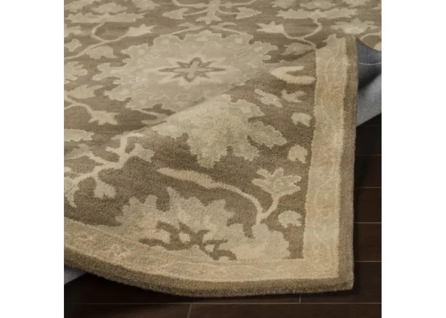 Caesar 5' x 8' Shaped Rug