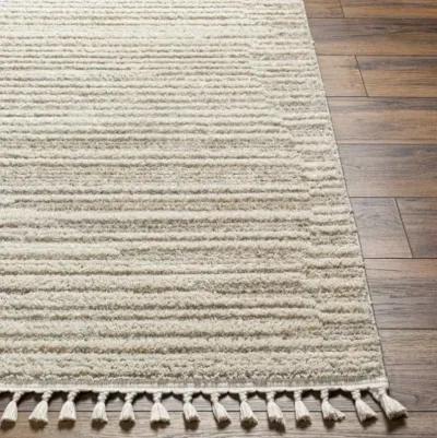 Rudy RDY-2306 5'3" x 7' Machine Woven Rug