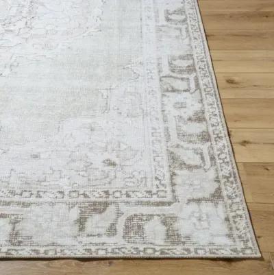 Rainier PNWRN-2300 2'7" x 7'10" Machine Woven Rug