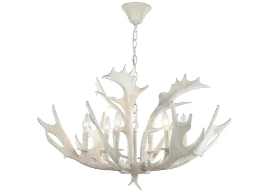 Birch Antler Chandelier