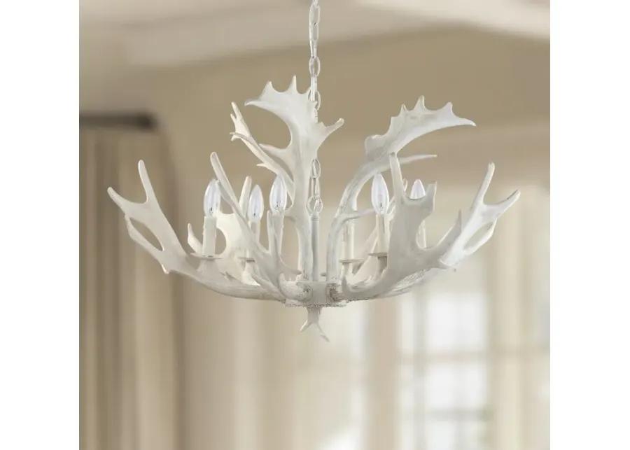 Birch Antler Chandelier