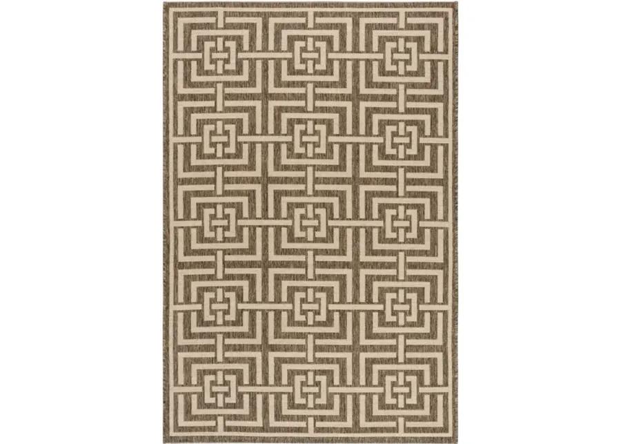 Safavieh BEACH HOUSE Collection BHS128D-5 Beige / Cream 5'-3" X 7'-6"