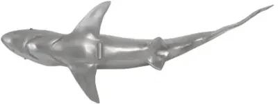 whaler shark fish wall sculpture, resin, polished aluminum finish