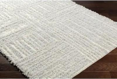 Everton Plus EVP-2314 2' x 2'11" Machine Woven Rug