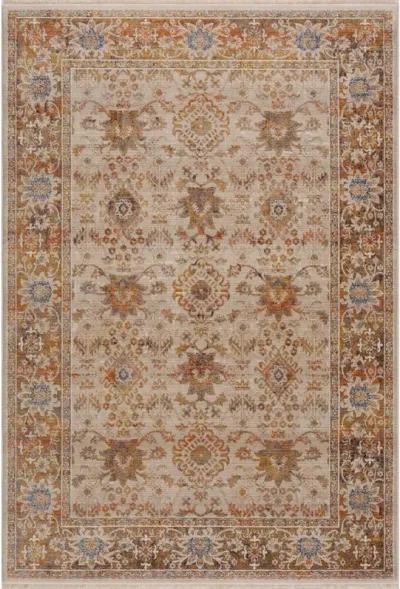 Hana Rustic Vintage Bohemian Oriental Area Rug  5' x 8'