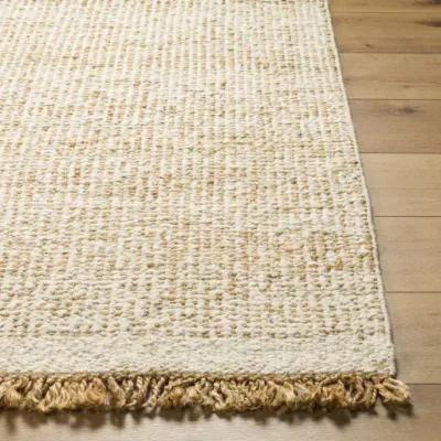 Aylin AYI-2303 10' x 14' Hand Made Rug