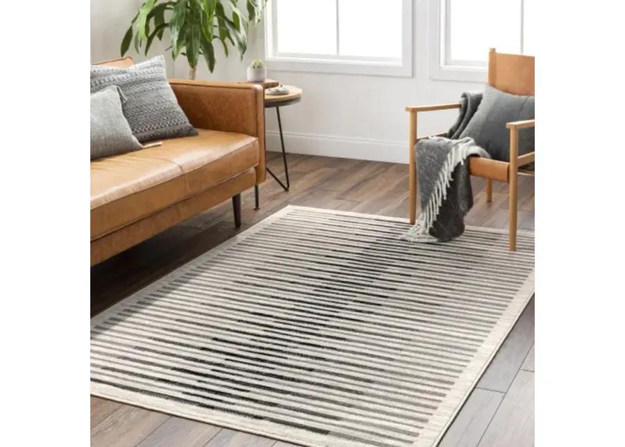 Pisa PSS-2350 6'7" x 9' Machine Woven Rug