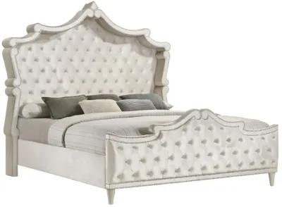 Antonella 4-Piece California King Upholstered Tufted Bedroom Set Ivory and Camel