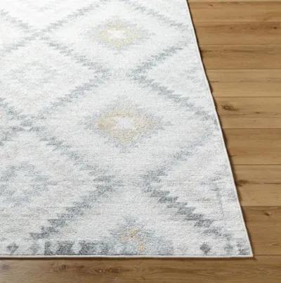 Harput HAP-1166 3'11" x 5'7" Machine Woven Rug