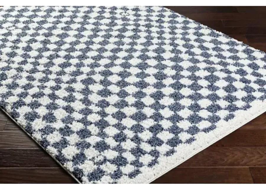 Birmingham BMM-2320 6'7" x 9' Machine Woven Rug