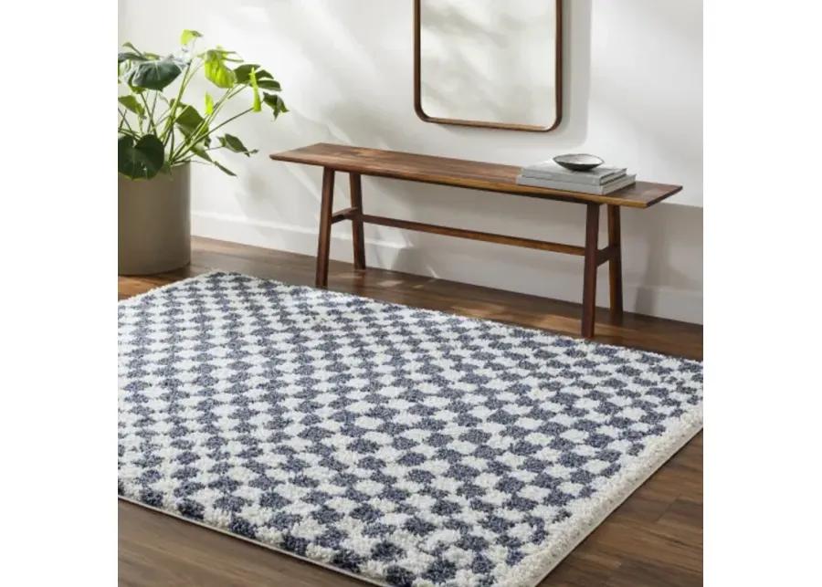 Birmingham BMM-2320 6'7" x 9' Machine Woven Rug