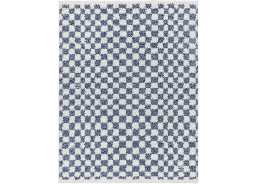 Birmingham BMM-2320 6'7" x 9' Machine Woven Rug