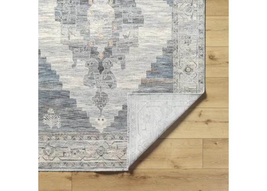 Chicago CHG-2314 8'10" x 12'8" Machine Woven Rug