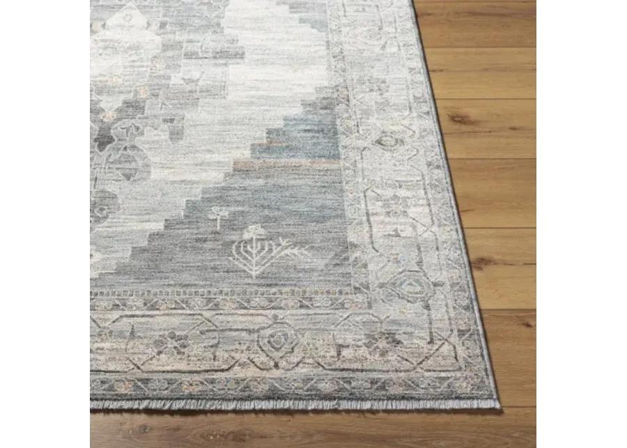 Chicago CHG-2314 8'10" x 12'8" Machine Woven Rug