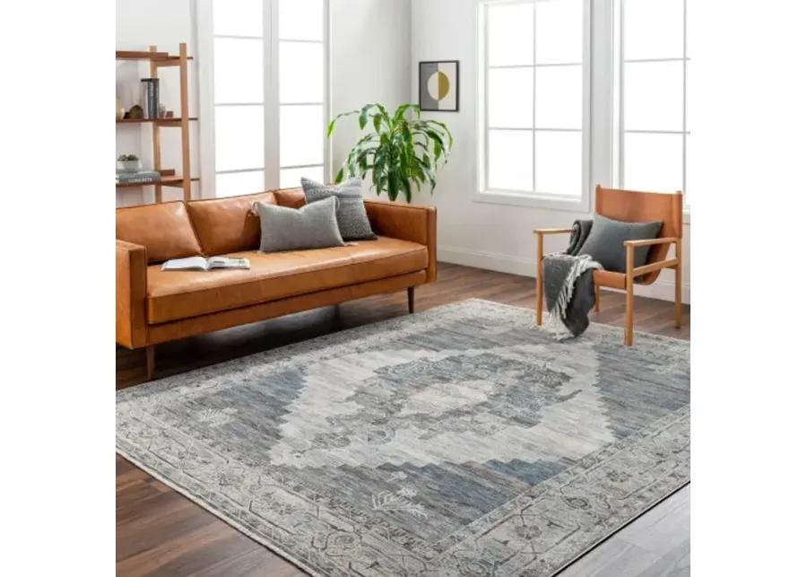 Chicago CHG-2314 8'10" x 12'8" Machine Woven Rug