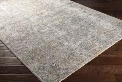 Cardiff CDF-2310 2'7" x 7'3" Rug