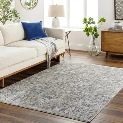 Cardiff CDF-2310 2'7" x 7'3" Rug