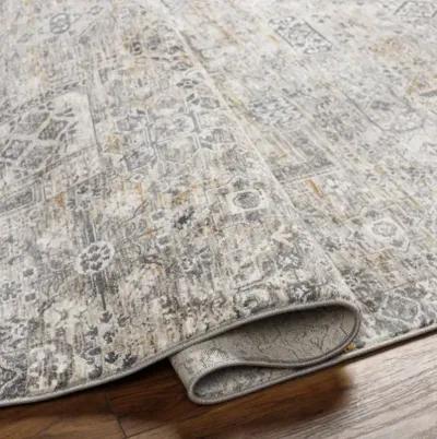 Cardiff CDF-2310 2'7" x 7'3" Rug