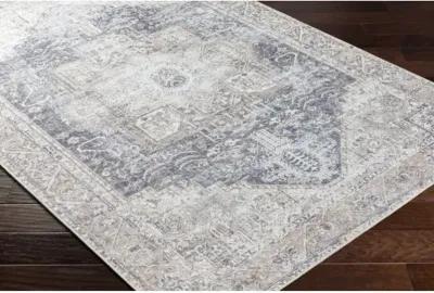 Amelie AML-2360 2'7" x 16' Rug