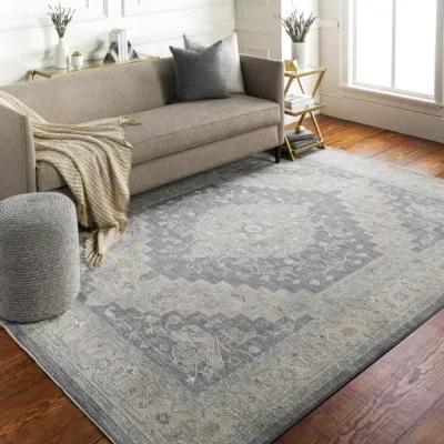 Avant Garde AVT-2300 2'7" x 10' Rug