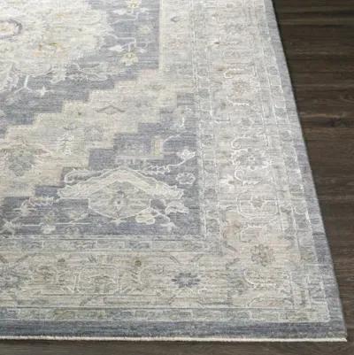 Avant Garde AVT-2300 2'7" x 10' Rug