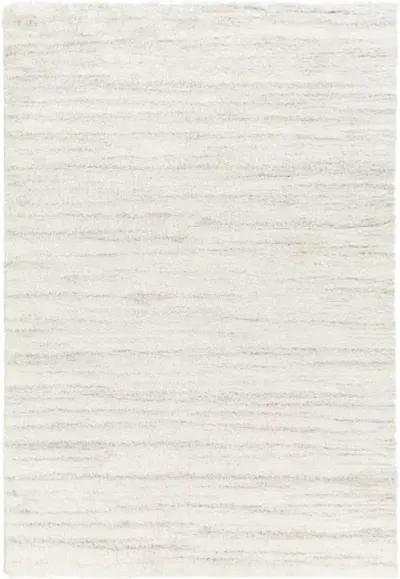 Cloudy Shag CDG-2307 7'10" x 10' Machine Woven Rug