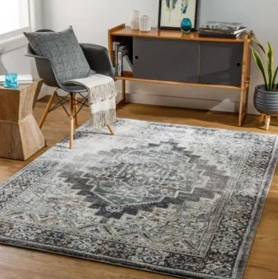 Montana MTN-2307 3'11" x 5'7" Machine Woven Rug