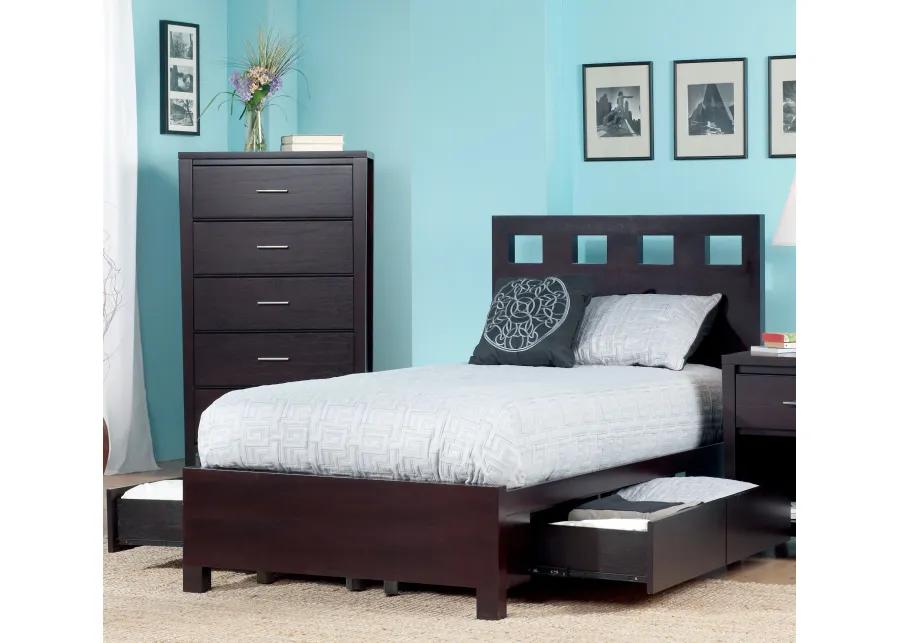 Riva Full-size Platform Storage Bed in Espresso