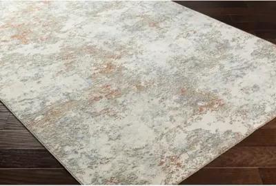 Brunswick BWK-2323 9' x 12'2" Machine Woven Rug