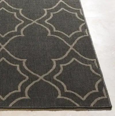 Alfresco 2'5" x 11'10" Rug