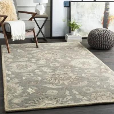 Caesar 6' x 9' Oval Rug