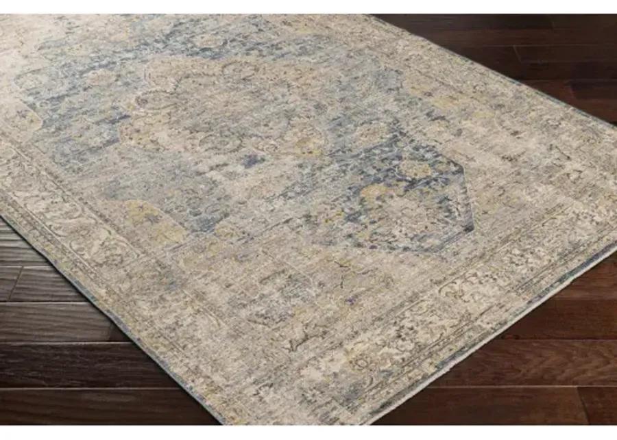 Aspendos APS-2304 2'7" x 7'3" Rug